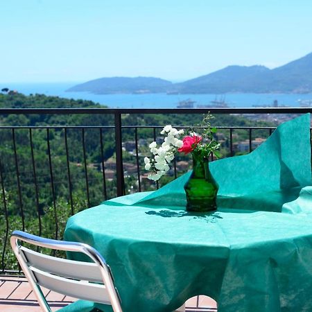 Agriturismo Oliva Azzurra Villa Valeriano Lunense Eksteriør billede