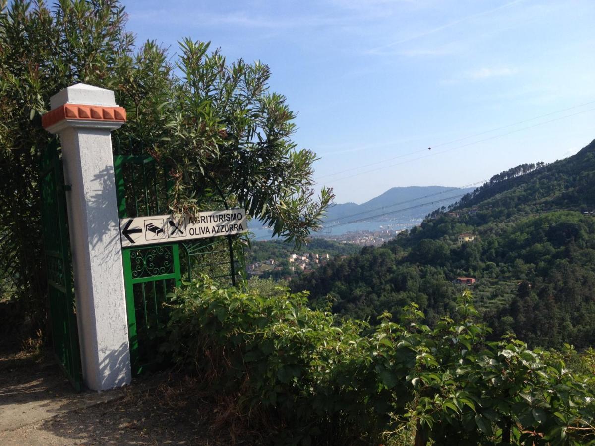 Agriturismo Oliva Azzurra Villa Valeriano Lunense Eksteriør billede