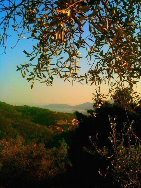 Agriturismo Oliva Azzurra Villa Valeriano Lunense Eksteriør billede