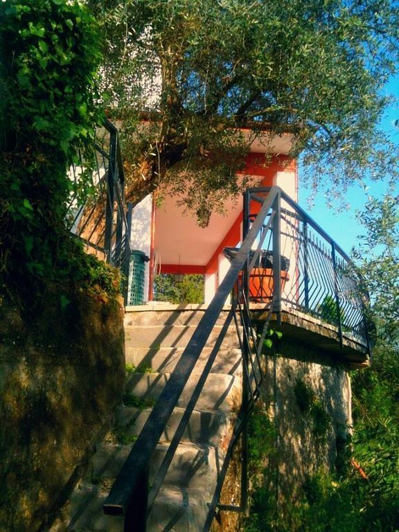 Agriturismo Oliva Azzurra Villa Valeriano Lunense Eksteriør billede