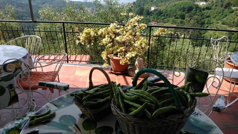 Agriturismo Oliva Azzurra Villa Valeriano Lunense Eksteriør billede