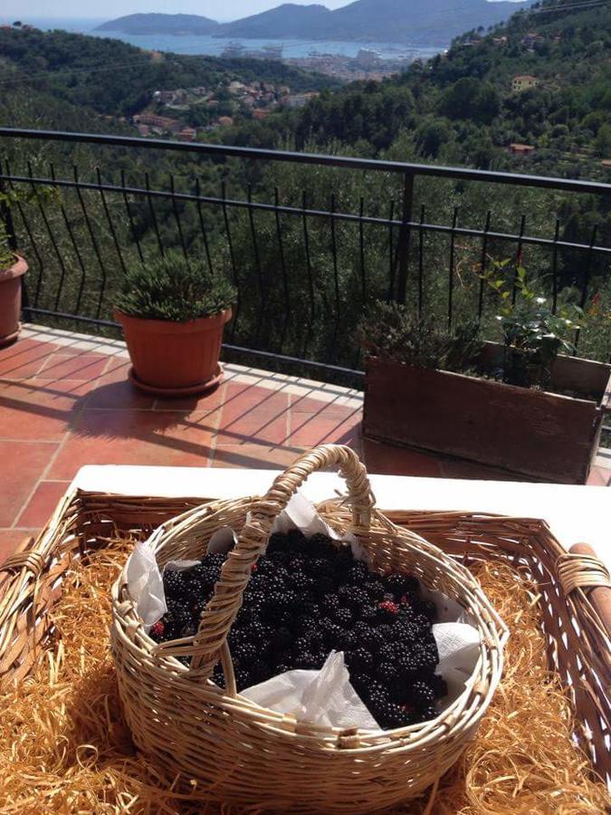 Agriturismo Oliva Azzurra Villa Valeriano Lunense Eksteriør billede